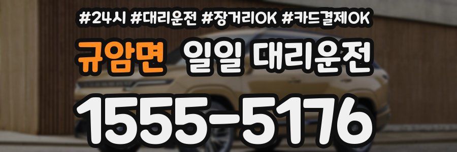 규암면 일일 대리운전