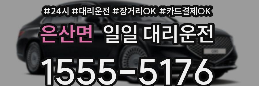 은산면 일일 대리운전