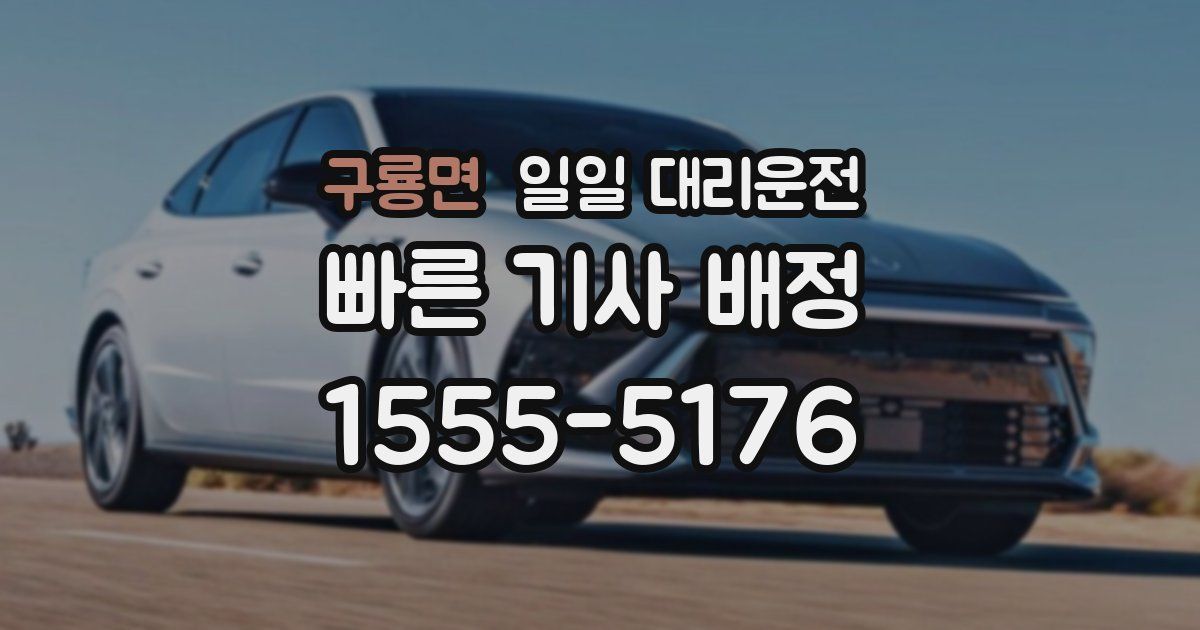 구룡면 일일 대리운전