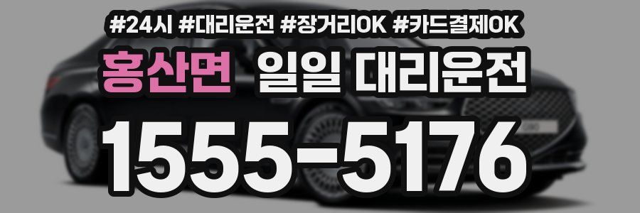 홍산면 일일 대리운전
