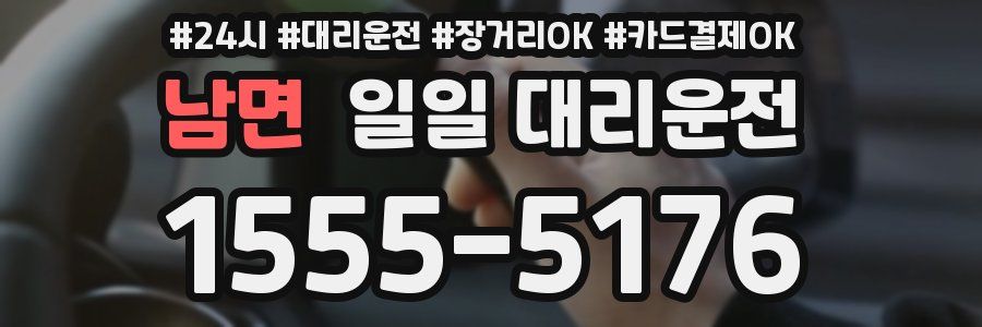 남면 일일 대리운전