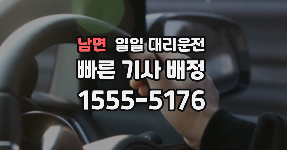 남면 일일 대리운전