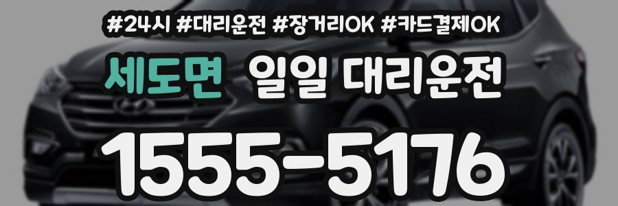 세도면 일일 대리운전