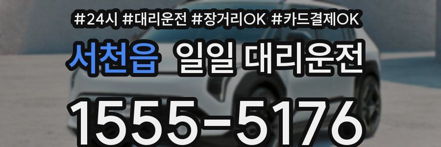 서천읍 일일 대리운전