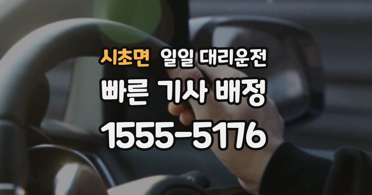 시초면 일일 대리운전