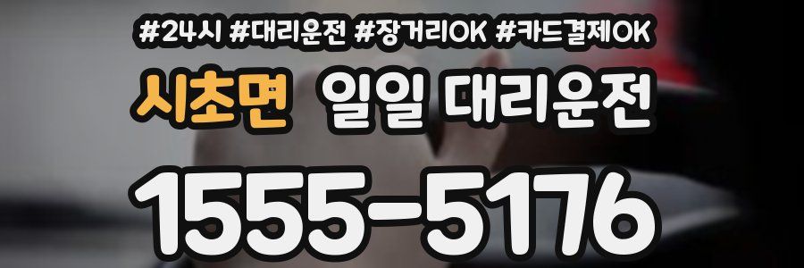 시초면 일일 대리운전