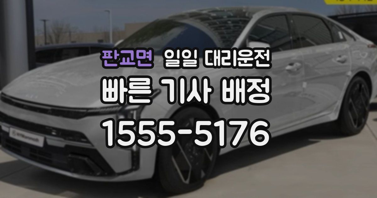 판교면 일일 대리운전