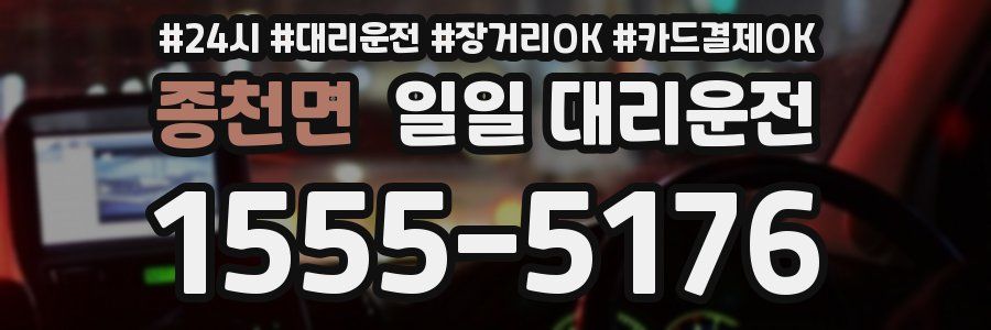 종천면 일일 대리운전