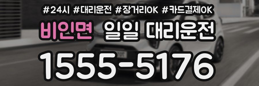 비인면 일일 대리운전