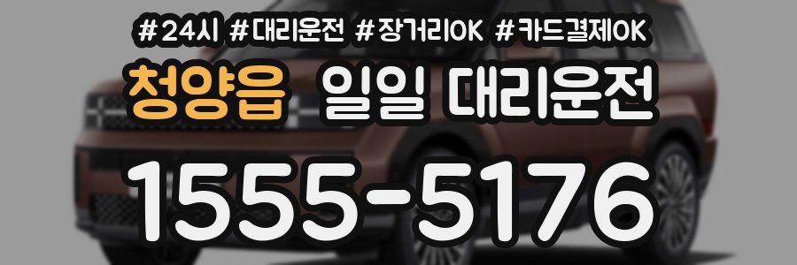 청양읍 일일 대리운전