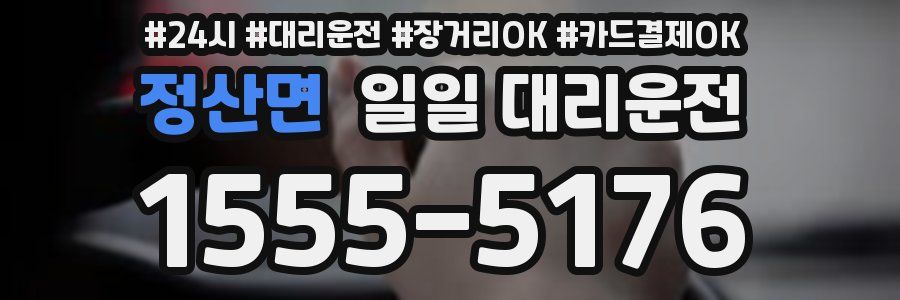 정산면 일일 대리운전