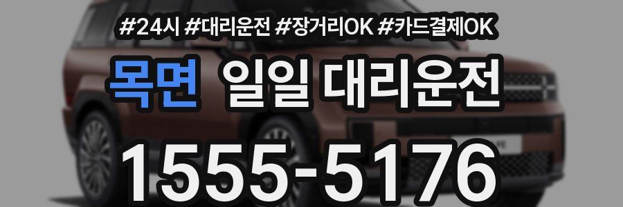 목면 일일 대리운전