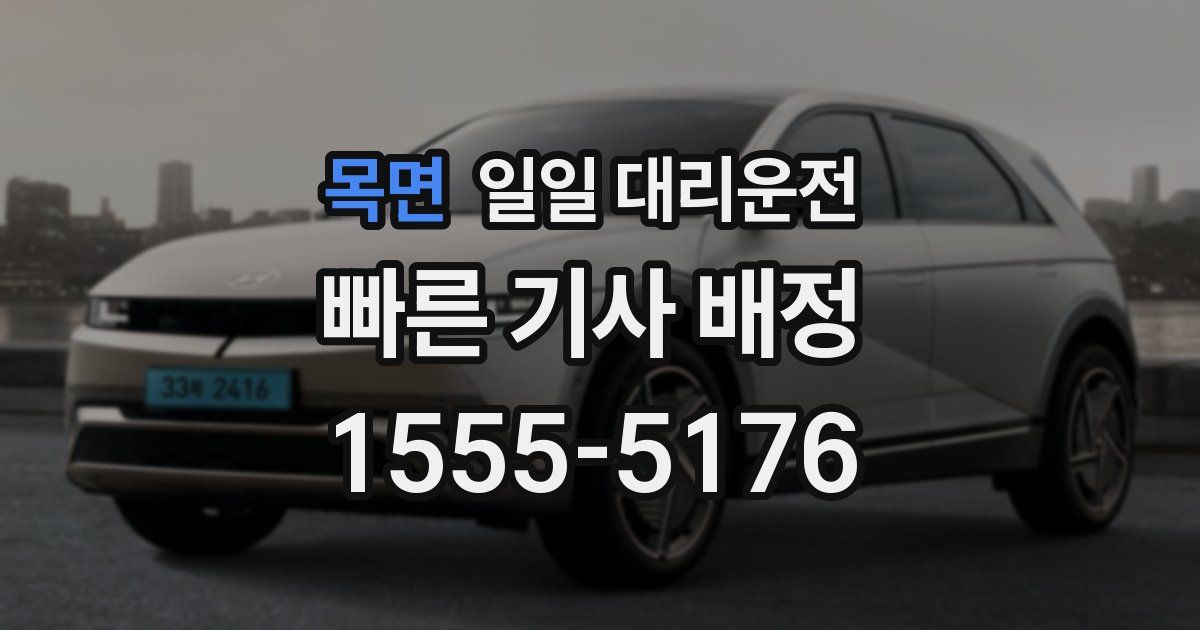 목면 일일 대리운전