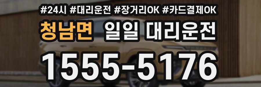 청남면 일일 대리운전