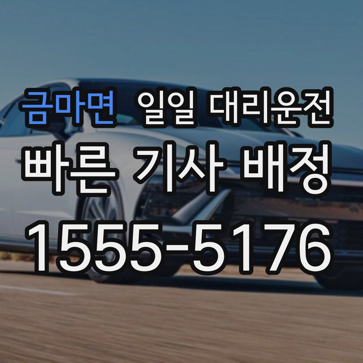금마면 일일 대리운전