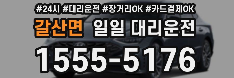 갈산면 일일 대리운전