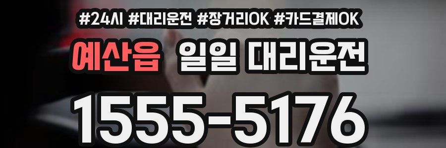 예산읍 일일 대리운전