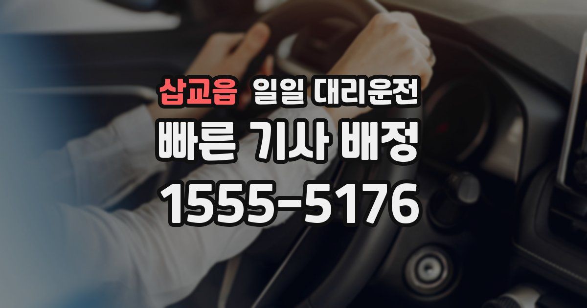삽교읍 일일 대리운전