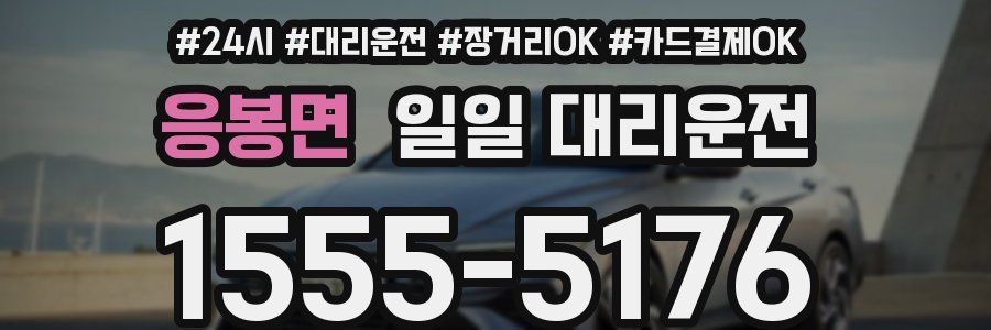 응봉면 일일 대리운전