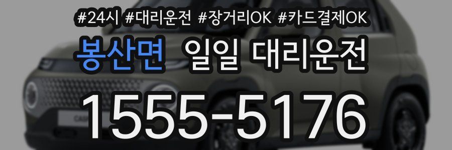 봉산면 일일 대리운전