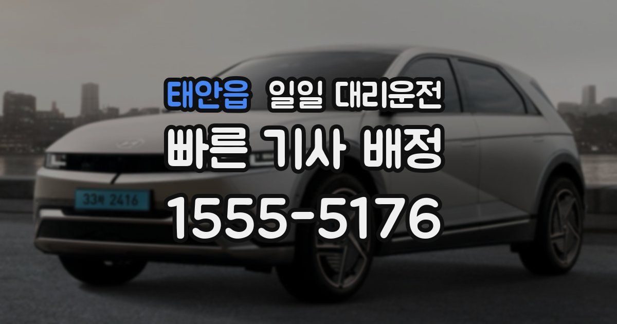 태안읍 일일 대리운전
