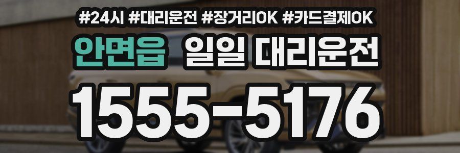 안면읍 일일 대리운전