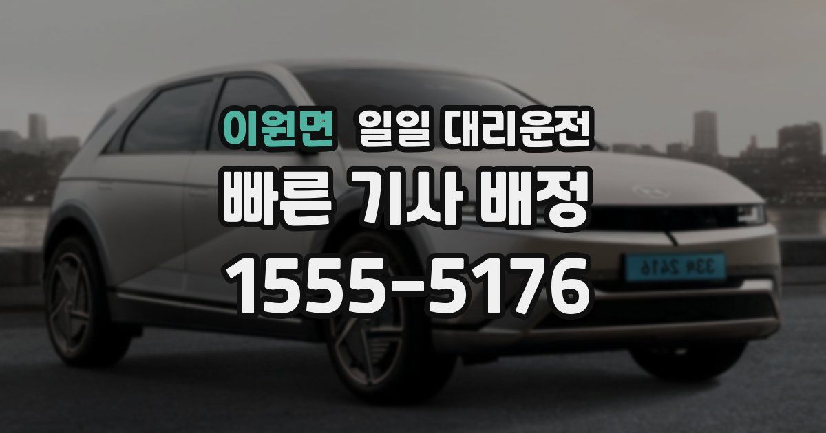 이원면 일일 대리운전