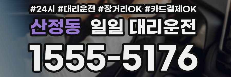 산정동 일일 대리운전