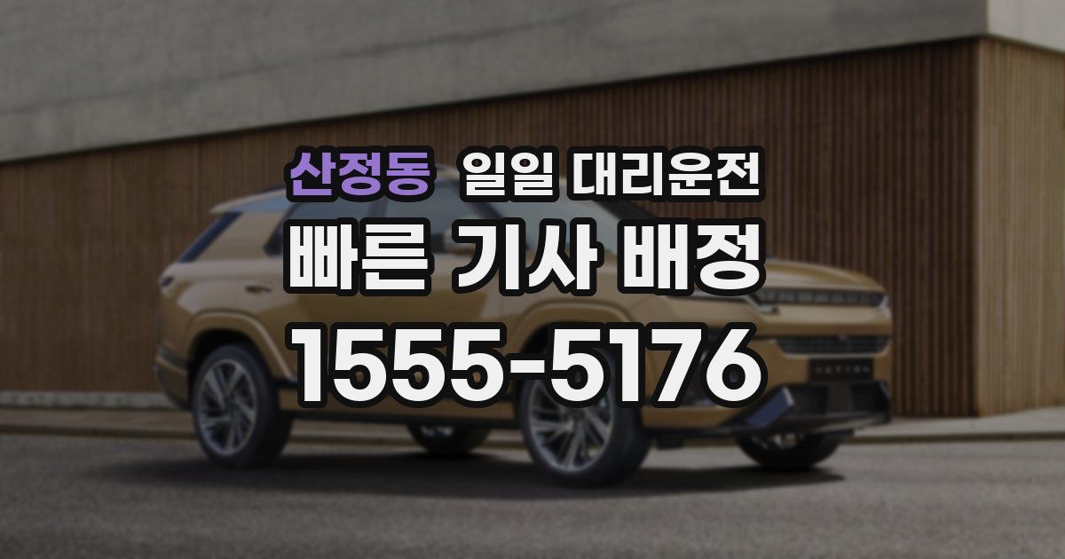 산정동 일일 대리운전