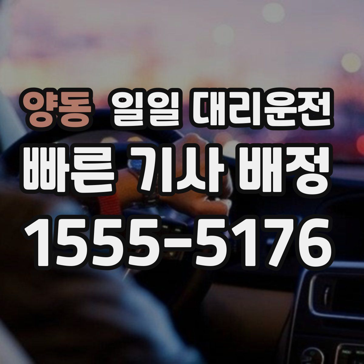 양동 일일 대리운전