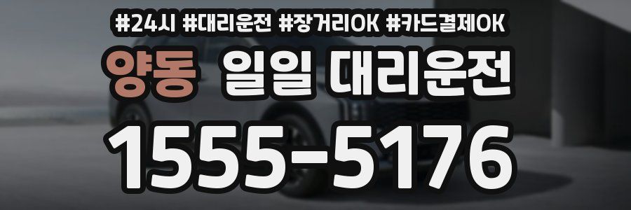 양동 일일 대리운전