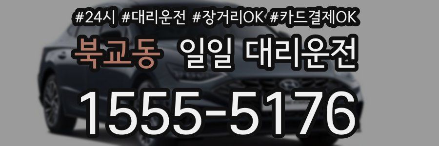 북교동 일일 대리운전