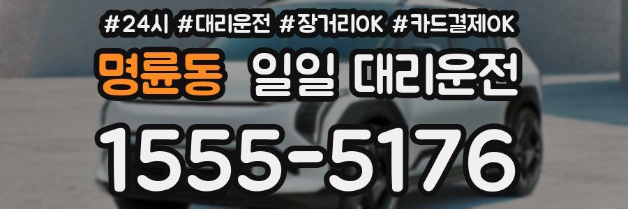 명륜동 일일 대리운전