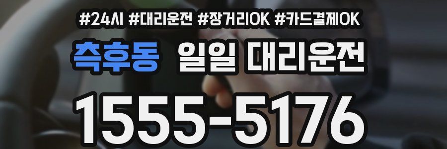 측후동 일일 대리운전