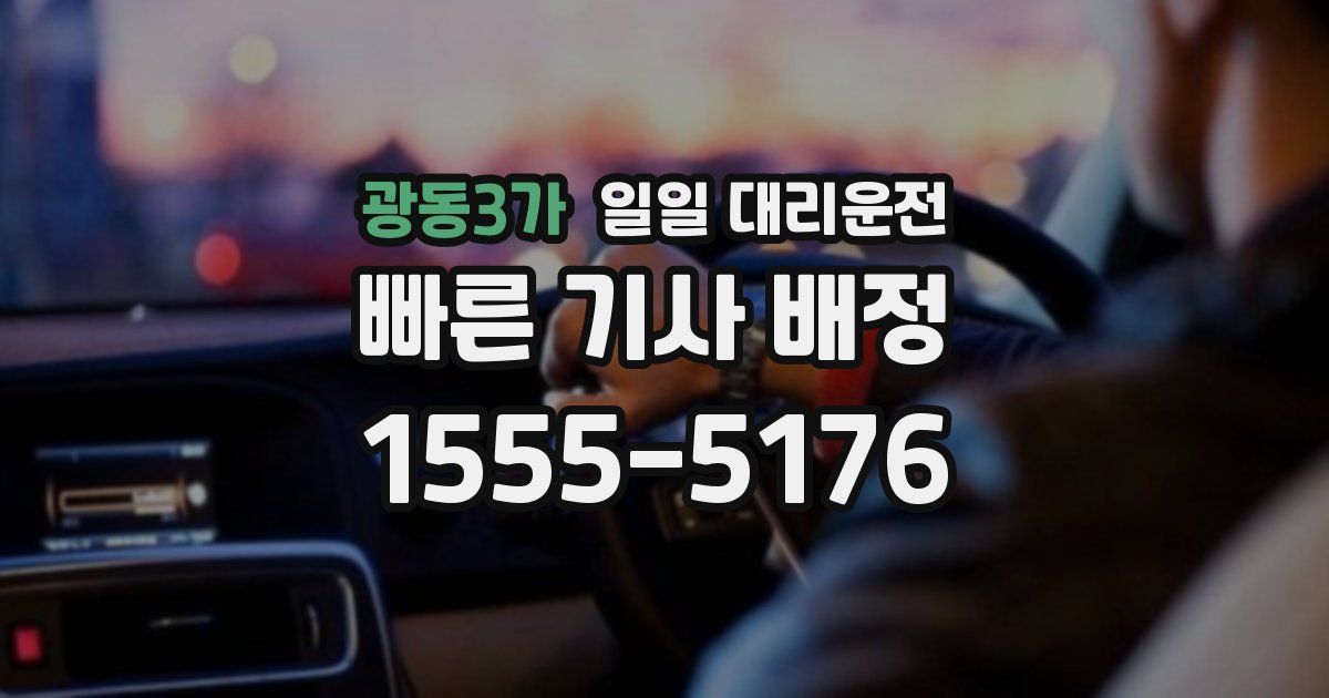 광동3가 일일 대리운전