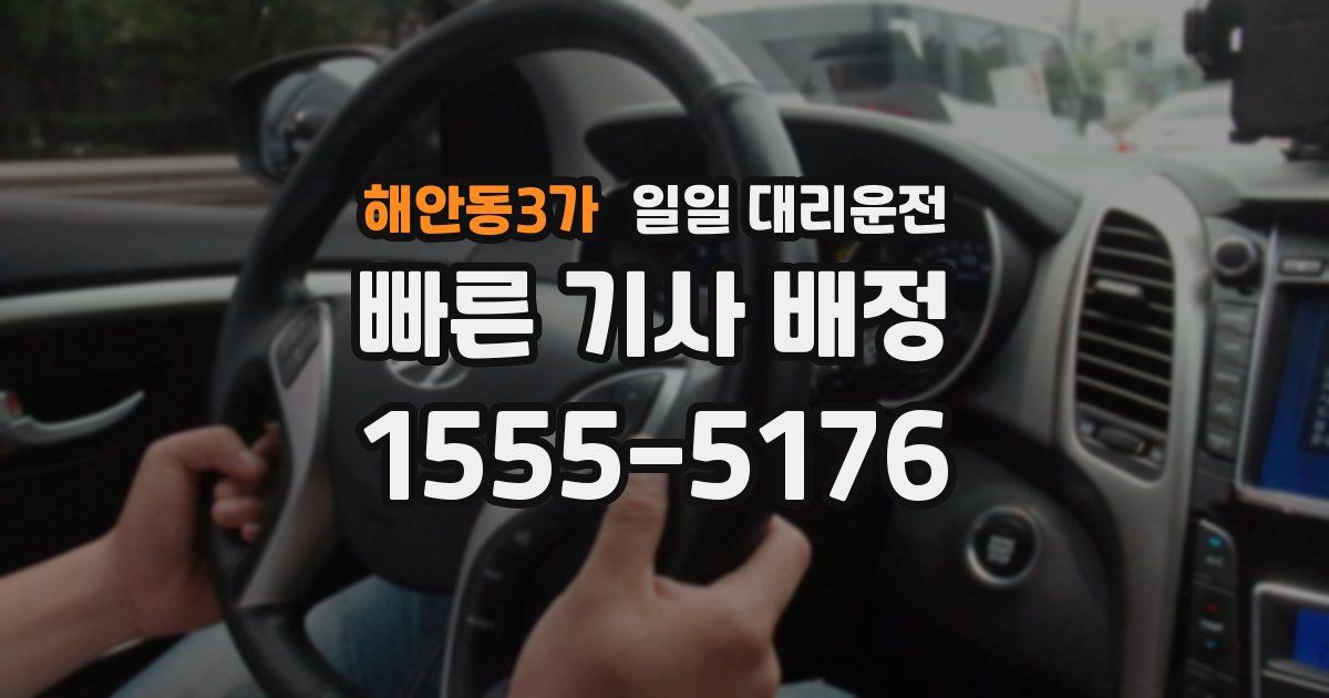 해안동3가 일일 대리운전