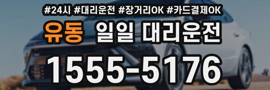 유동 일일 대리운전