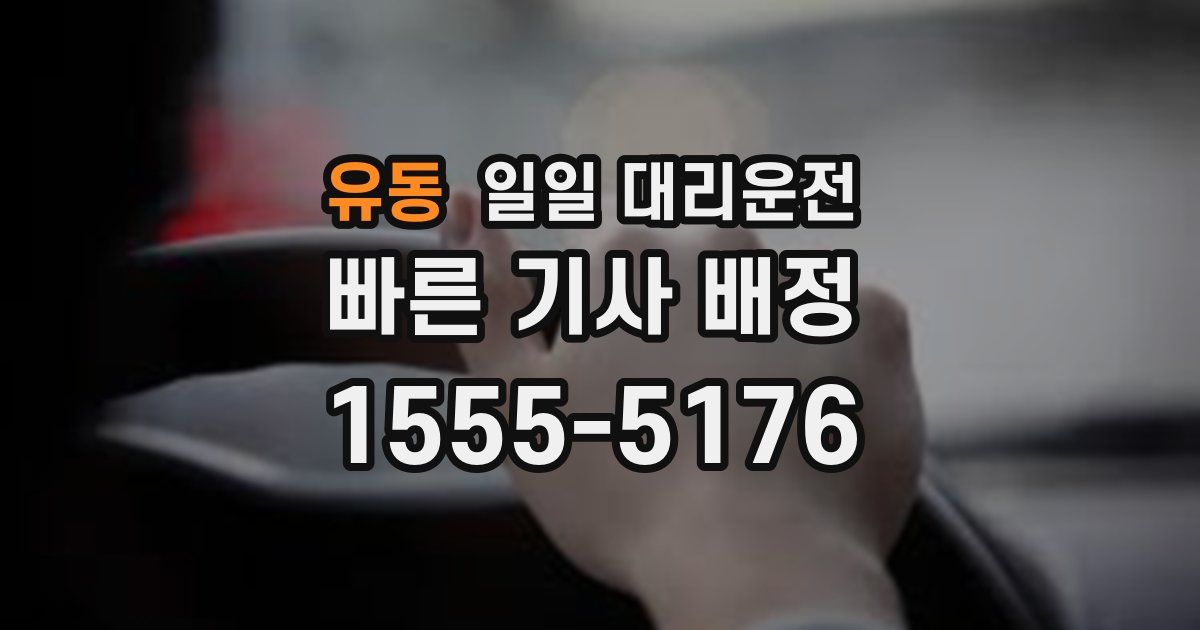 유동 일일 대리운전