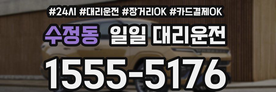 수정동 일일 대리운전