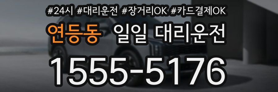 연등동 일일 대리운전