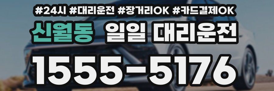 신월동 일일 대리운전