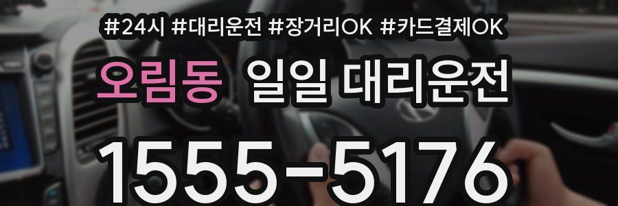 오림동 일일 대리운전