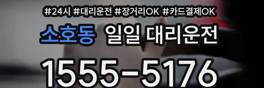 소호동 일일 대리운전
