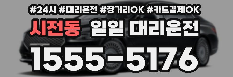 시전동 일일 대리운전