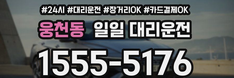 웅천동 일일 대리운전