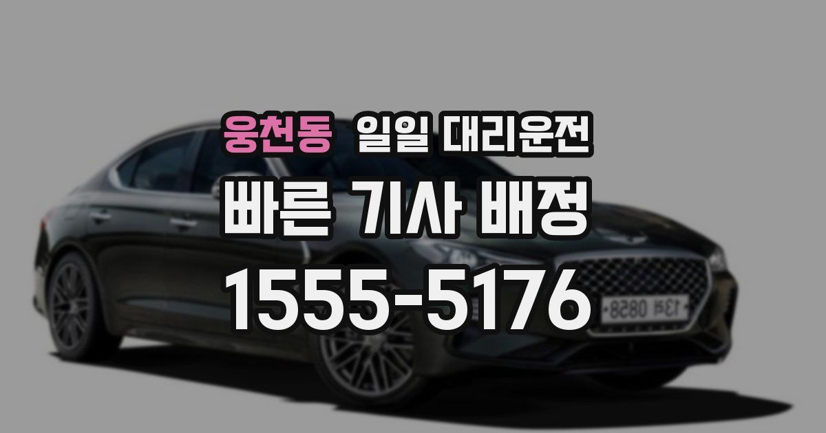 웅천동 일일 대리운전