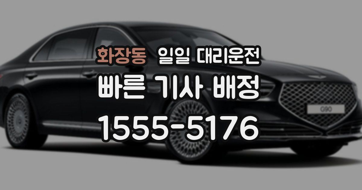 화장동 일일 대리운전