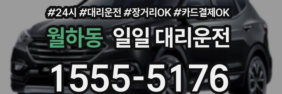 월하동 일일 대리운전