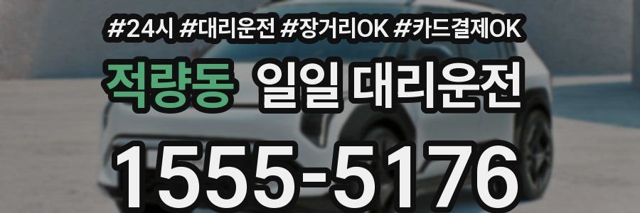 적량동 일일 대리운전