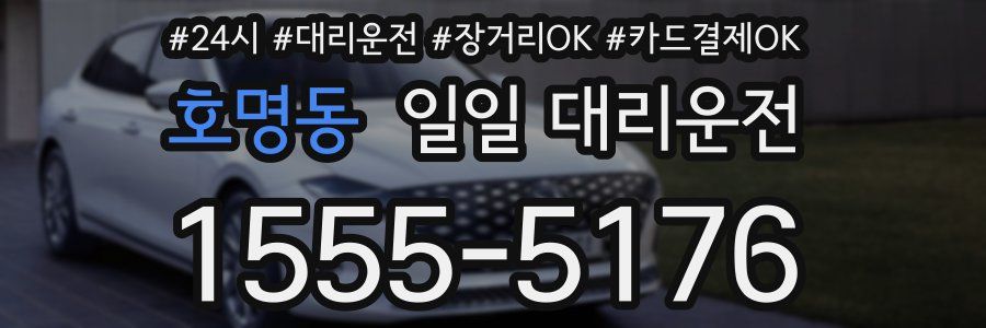 호명동 일일 대리운전